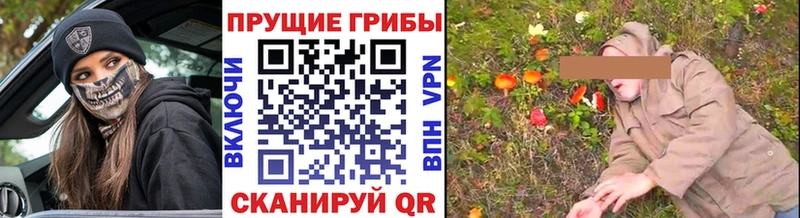 Псилоцибиновые грибы Cubensis  что такое   Миньяр 